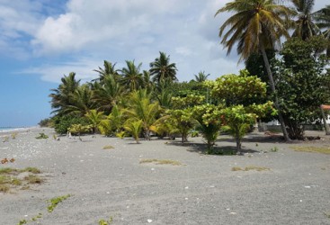 Beachfront land in a quiet area of high quality properties - Bani