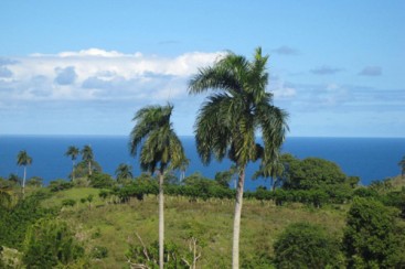 Lots with Good Ocean View Cabrera