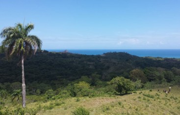 Beautiful land with Ocean View