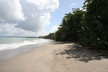 Development Land with 440 Meters Beachfront Rio San Juan