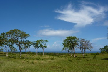 Land with Marvellous Ocean View in Sosua