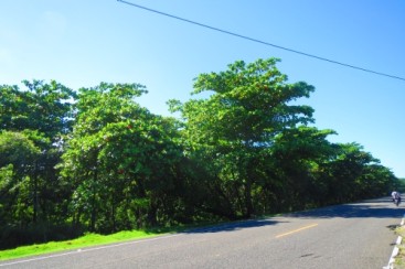 Prime development land located on main highway close to Cabarete