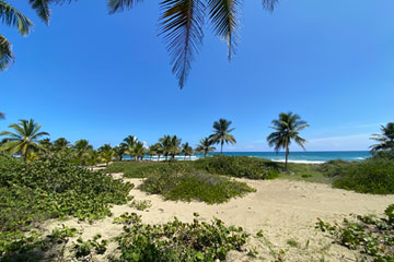 Unique beach property near Cabarete