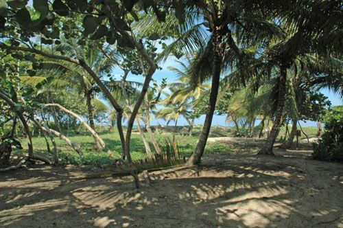 #0 Beachfront property with approx. 30 meters front in Cabarete