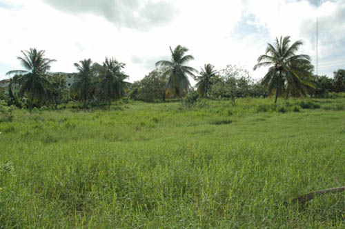 #1 Ideal building site for a condominium development near Cabarete