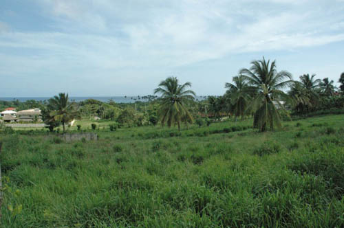 #0 Ideal building site for a condominium development near Cabarete