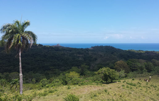 #0 Farmland with Ocean View