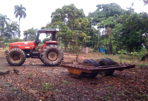 #4 Rice Farm Agriculture in La Vega