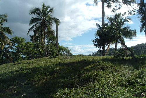 #1 Building Lots with spectacular ocean view Las Terrenas