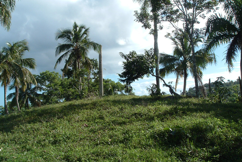 #6 Building Lots with spectacular ocean view Las Terrenas