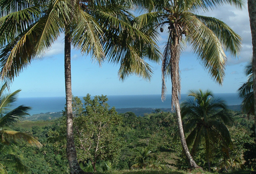 #3 Building Lots with spectacular ocean view Las Terrenas