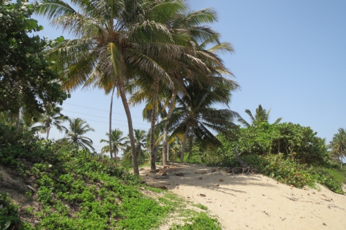 #2 One of the few ocean front lots left in town - Kite Beach Cabarete