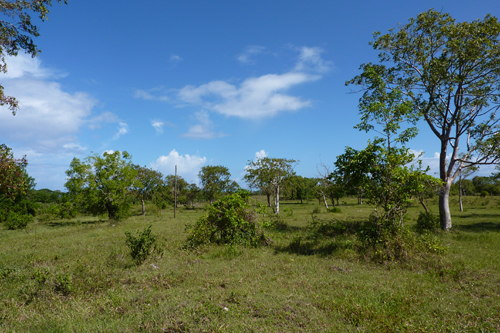 #7 Land with Marvellous Ocean View in Sosua