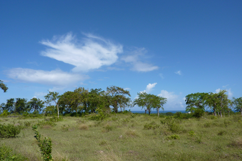 #2 Land with Marvellous Ocean View in Sosua