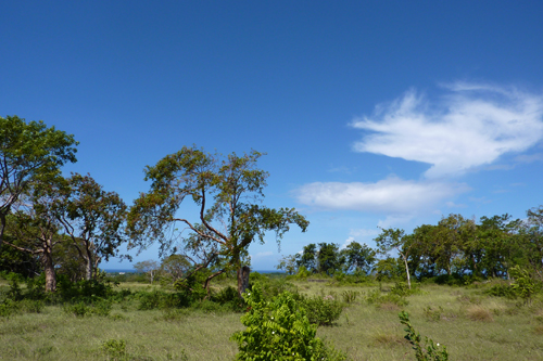 #3 Land with Marvellous Ocean View in Sosua