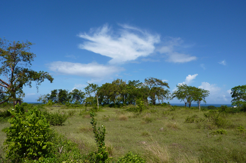 #4 Land with Marvellous Ocean View in Sosua