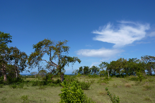 #5 Land with Marvellous Ocean View in Sosua