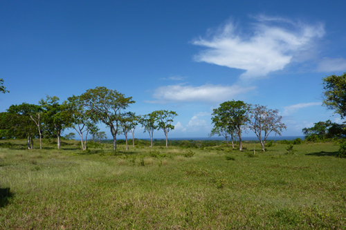 #6 Land with Marvellous Ocean View in Sosua