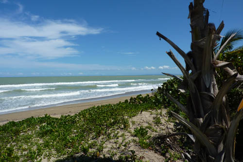 #0 One of the last beachfront parcels in Cabarete
