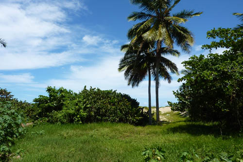 #9 One of the last beachfront parcels in Cabarete