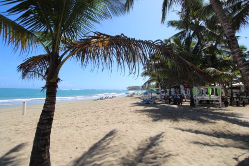 #6 Excellent income producer beachfront business in Cabarete center