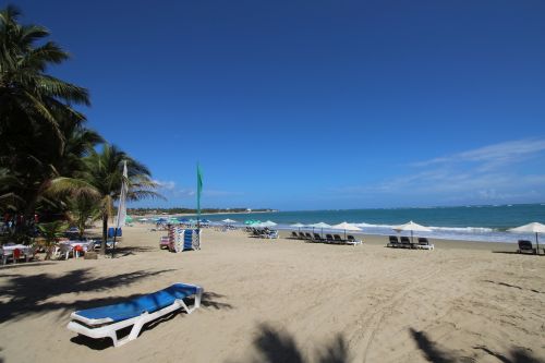#8 Excellent income producer beachfront business in Cabarete center