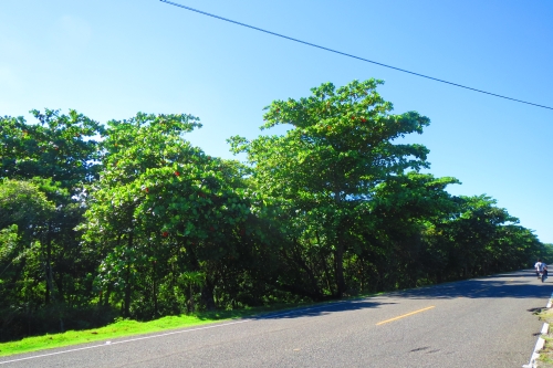 #0 Prime development land located on main highway close to Cabarete