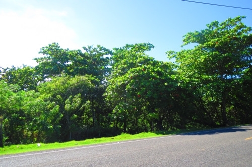 #1 Prime development land located on main highway close to Cabarete