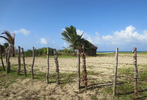 #2 Beautiful and well-proportioned beachfront lot at the kite beach Cabarete
