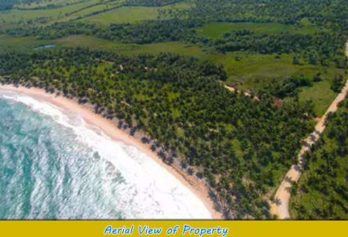 #3 Beautiful oceanfront lots at very competitive price - Cabrera