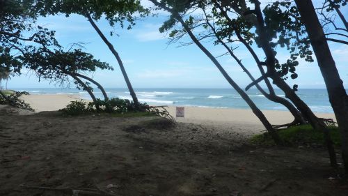#4 Property with 160 Linear Meters of Beachfront near Cabarete