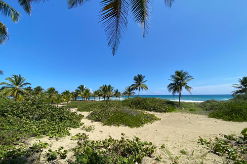 #1 Excellent beachfront lots in unspoilt location
