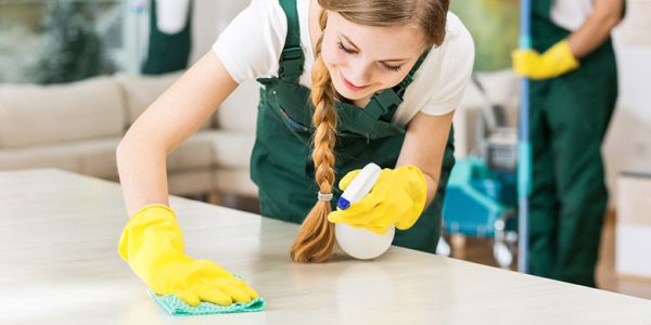 Dominican Realestate Services Cleaning