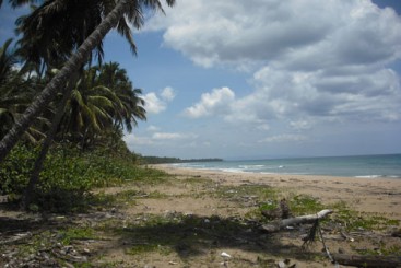 Spectacular Parcel of Beachfront Land in Nagua