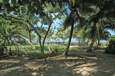 Beachfront property with approx. 30 meters front in Cabarete