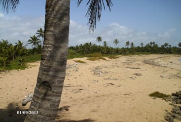 Large Beachfront Development Property in Uvero Alto