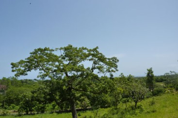 Lot with Ocean View in Sosua