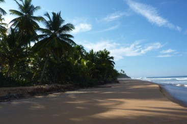 Nice Beachfront land in Samana