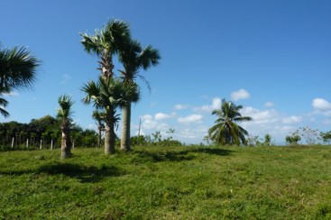 Building Lot with Ocean View in Cabarete