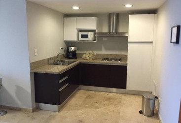 One Bedroom Apartment for sale in Puerto Bahia Samana