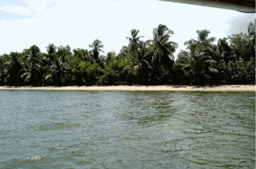 Magnificent beach front land near Samana