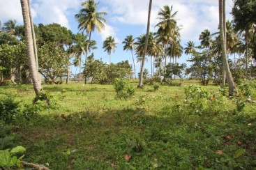 Beachfront Lot in Cabarete with 150 meters beachfront