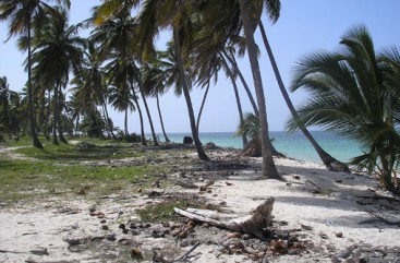 Beautiful ocean front land near Bayahibe