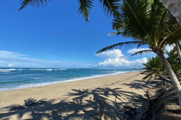 Beachfront Property Kite Beach Cabarete