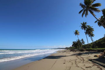 Prime Beachfront Land near Cabarete