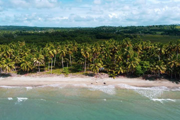 Large Beachfront Development Parcel 