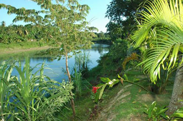 Hidden away on the river, a very attractive tropical villa