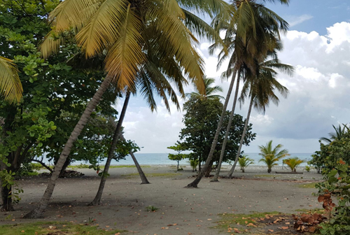 #4 Beachfront land in a quiet area of high quality properties - Bani