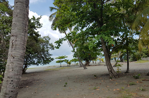 #3 Beachfront land in a quiet area of high quality properties - Bani