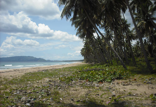 #1 Spectacular Parcel of Beachfront Land in Nagua